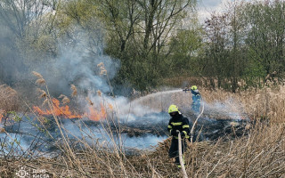 В Киеве загорелся травяной настил в Cвятошинском районе