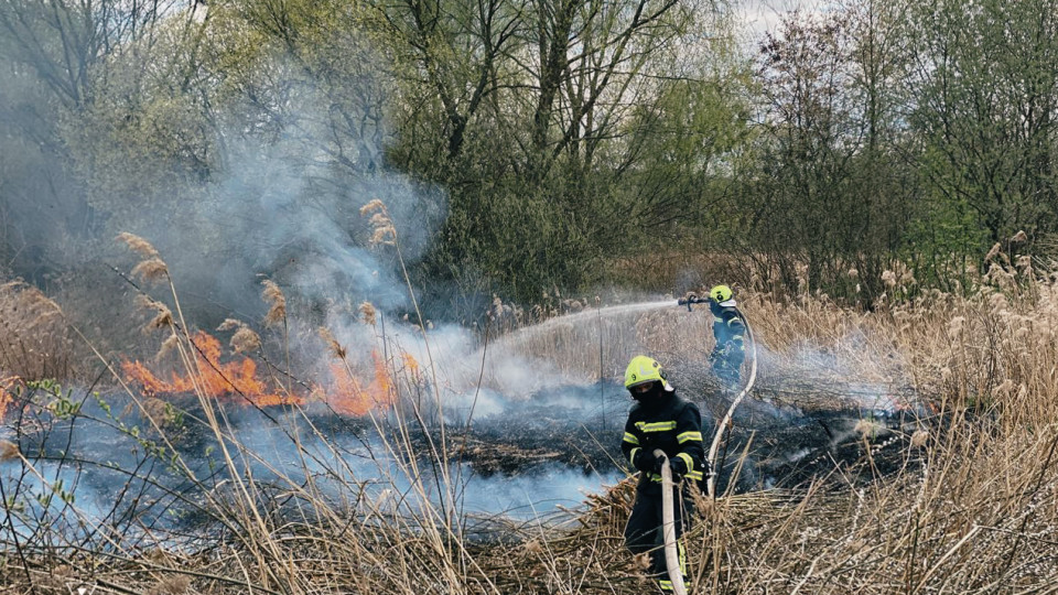 В Киеве загорелся травяной настил в Cвятошинском районе