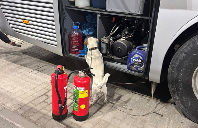 У автобусі, який прямував до Праги, службовий собака винюхав сигарети у вогнегасниках: відео