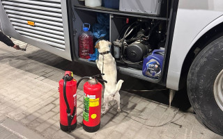 У автобусі, який прямував до Праги, службовий собака винюхав сигарети у вогнегасниках: відео