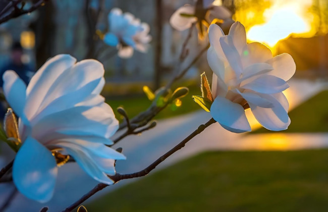 В шести областях Украины зафиксировали температурные рекорды