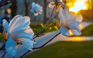 В шести областях Украины зафиксировали температурные рекорды