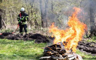 Киевлян предупредили о чрезвычайном уровне пожарной опасности