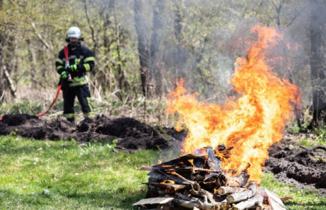 Киевлян предупредили о чрезвычайном уровне пожарной опасности