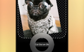 Telegram дозволив створювати стікери зі своїх фотографій прямо у застосунку