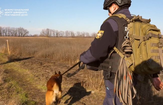На Николаевщине специально обученные собаки будут помогать проводить разминирование