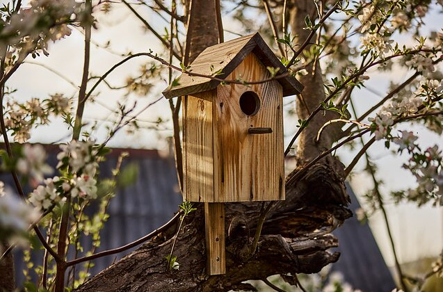 В Литве создали город для птиц, деньги с которого пойдут на закупку дронов для Украины