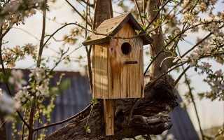 В Литве создали город для птиц, деньги с которого пойдут на закупку дронов для Украины