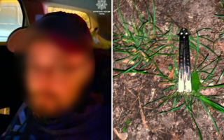 У Солом’янському районі Києва невідомий вдарив чоловіка ножем та втік