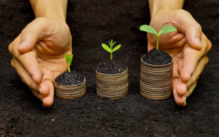 Діяльність тимчасово припинилася: чи треба юрособі-єдиннику платити земельний податок