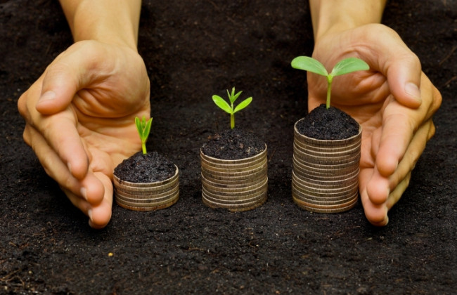 Деятельность временно прекратилась: нужно ли юрлицу-единщику платить земельный налог