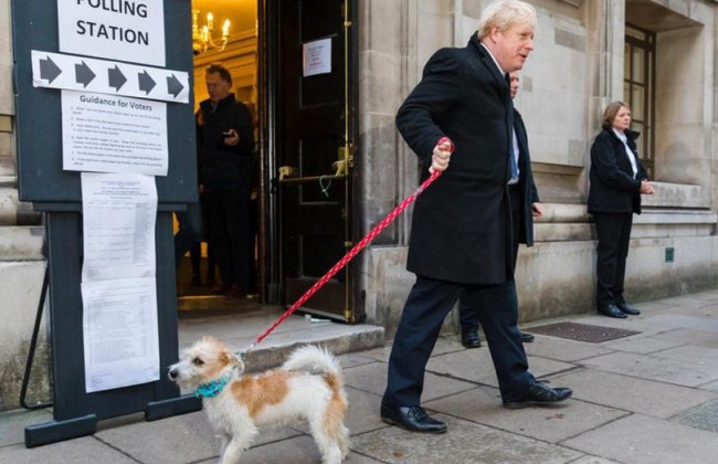 Собаку Бориса Джонсона сделали крайней в нашествии блох на Даунинг-стрит