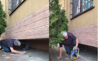 В Одессе редкая змея покусала директора зоопарка, фото