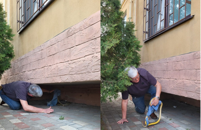 В Одессе редкая змея покусала директора зоопарка, фото
