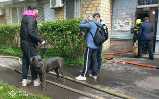 В Киеве спасатели вынесли более 10 животных – собак и котов из квартиры, охваченной огнем