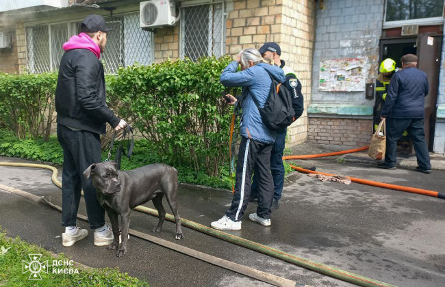В Киеве спасатели вынесли более 10 животных – собак и котов из квартиры, охваченной огнем