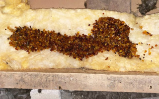 На Рівненщині у молодика знайшли 5 кг бурштину та гвинтівку, але він казав, що це не його: фото