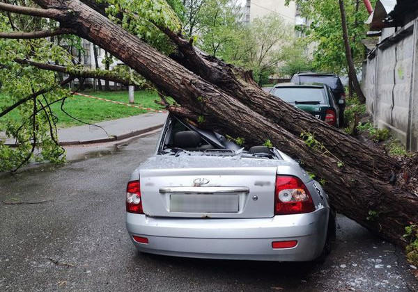 Непогода в Киеве: деревья привалили авто, проезжую часть и линию электросети