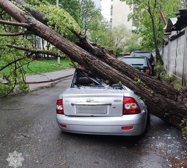 Негода у Києві: дерева привалили авто, проїзну частину та лінію електромережі