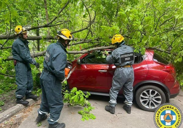 В Киеве непогода на выходных повредила или свалила 107 деревьев