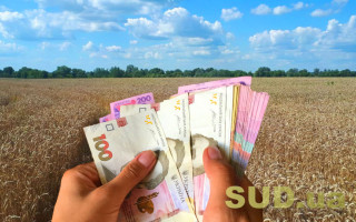 Как устанавливается арендная плата за земельный участок государственной или коммунальной собственности: разъяснение