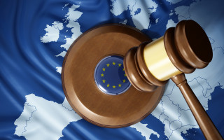 Верховный Суд опубликовал обзор практики ЕСПЧ за январь-февраль 2024 года