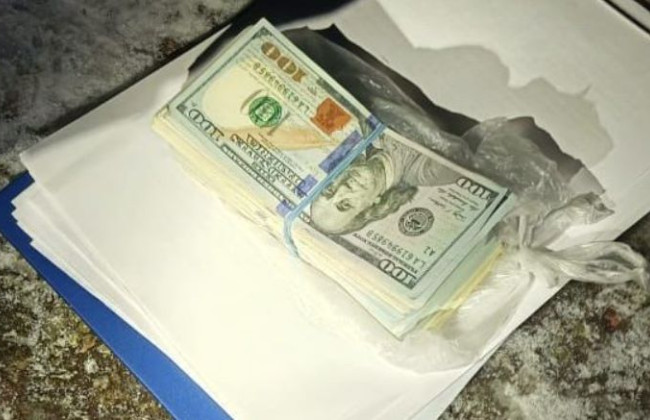 За $30 000 «гарантировала» подозреваемому избегание тюрьмы: на Житомирщине будут судить адвоката