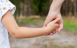 Гражданку объявили в розыск, она незаконно удерживает малолетнюю племянницу, родители которой погибли в ДТП: подробности дела