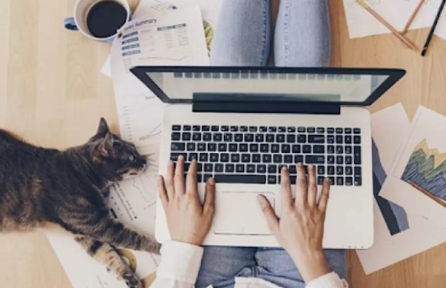 Подписание договоров, контроль и отдых: Рада урегулировала домашний труд на законодательном уровне