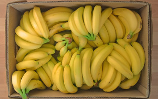 В немецких супермаркетах обнаружили бананы с кокаином