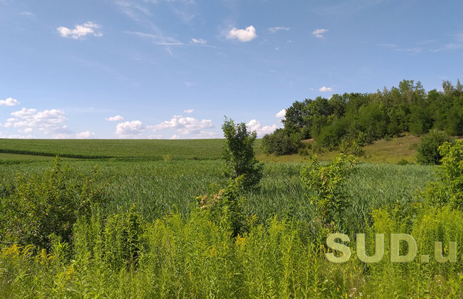 Суд повернув територіальній громаді понад 65 гектарів землі