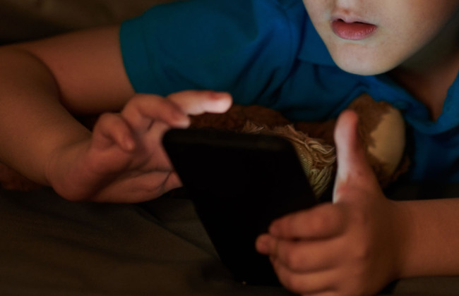 В случае проживания ребенка с матерью за границей, иск может быть обеспечен путем предоставления свиданий отцу с ребенком с помощью видеосвязи, — суд