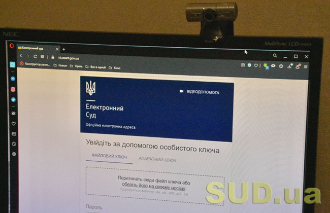 Как просматривать материалы дела в Электронном суде: разъяснение