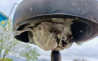 На Одещині у іноземця під сидінням велосипеда знайшли наркотики