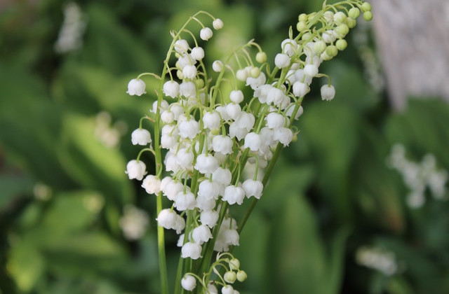 2 мая: какой сегодня праздник и главные события