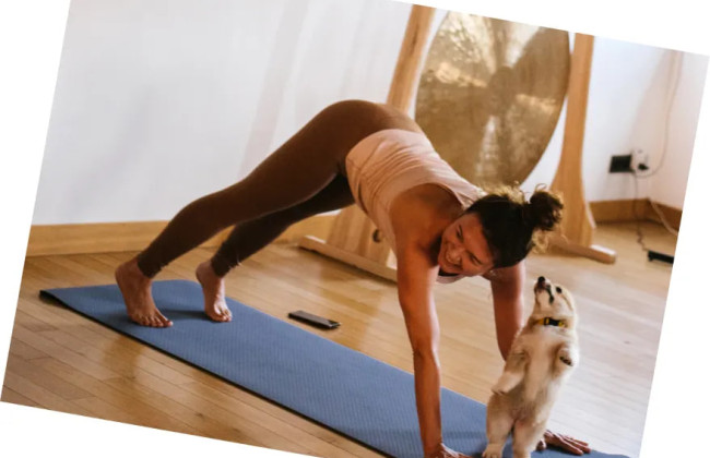 В Италии запретили йогу со щенками из соображений безопасности животных