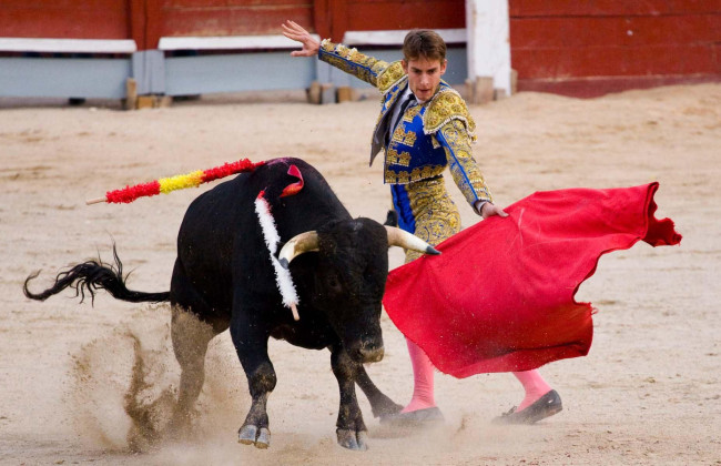 Испания отменяет Национальную премию по корриде, чтобы «не пытать» животных