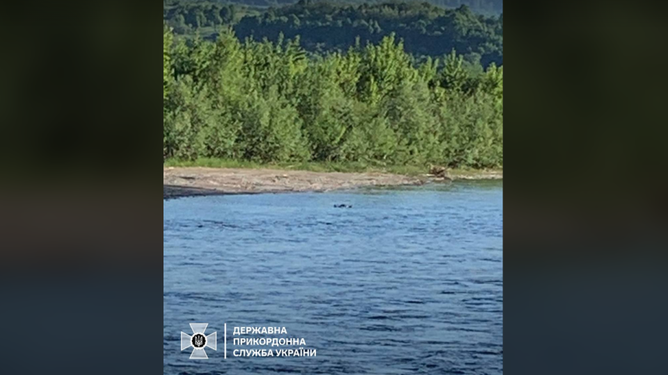 На березі річки Тиса знайшли тіло загиблого чоловіка: це вже 25-ий летальний випадок на цій ділянці кордону