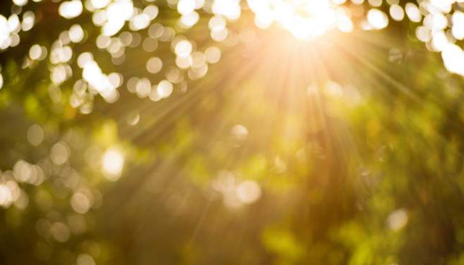Солнце и заморозки – такую погоду принесет западный антициклон Thomas