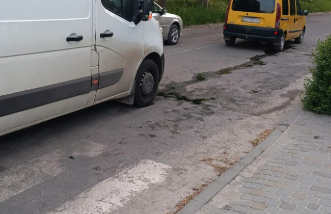 На Львовщине 82-летний дедушка наехал на 81-летнюю бабушку