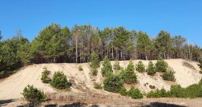 На Волині прокуратура наполягає на незаконності розробки родовища піску на території «Старовижівського Буковелю»