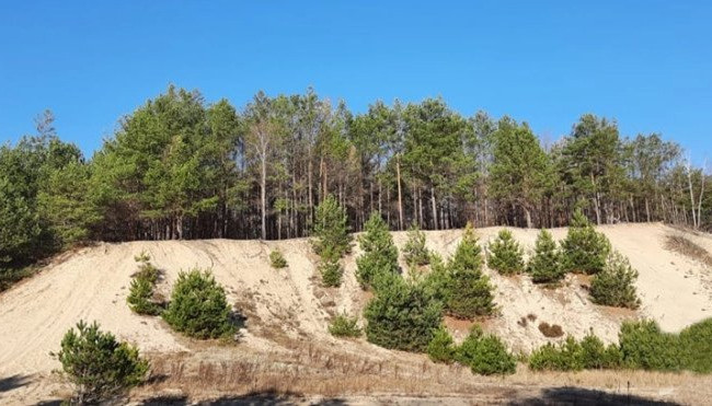 На Волыни прокуратура настаивает на незаконности разработки месторождения песка на территории «Старовижовского Буковеля»