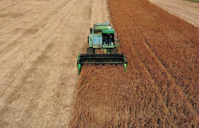 10 мая: какой сегодня праздник и главные события