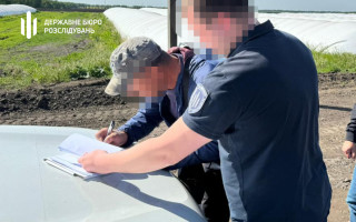 Схема на 4 млн: на Кіровоградщині викрили організовану групу, яка заробляла на незаконній вирубці лісу