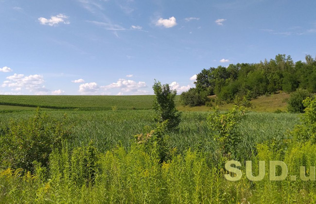 В Винницкой области будут судить госрегистратора за махинации с землей