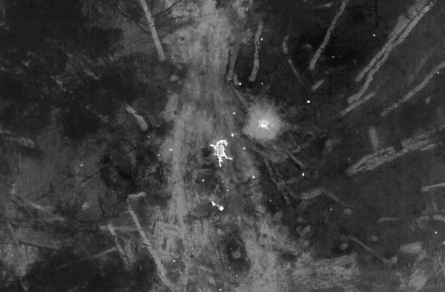 Краснокнижный конь Пржевальского погиб от российской мины в Чернобыльской зоне отчуждения