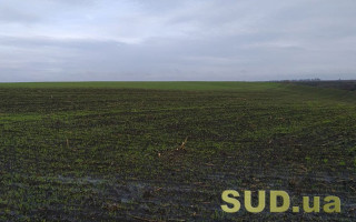 Раді рекомендують продовжити строк оформлення права власності на земельні паї до 2028 року