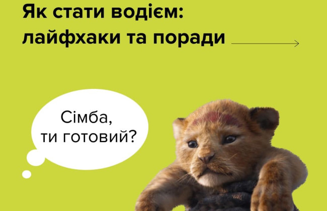 Як стати водієм: алгоритм дій при отриманні посвідчення вперше