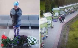 На Кіровоградщині жінка крала квіти з Алеї пам’яті, щоб продати їх на ринку: фото