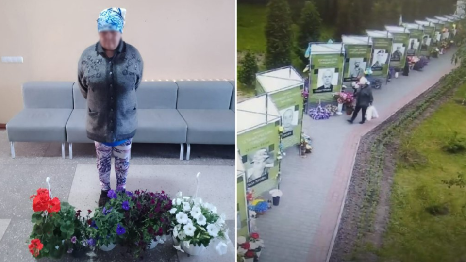 На Кіровоградщині жінка крала квіти з Алеї пам’яті, щоб продати їх на ринку: фото